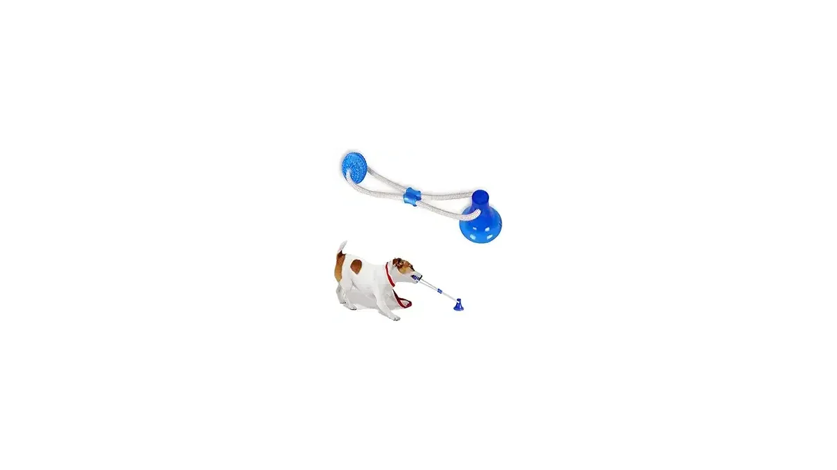 Melhores Brinquedos Para Cães que Amam Puxar e Brincar